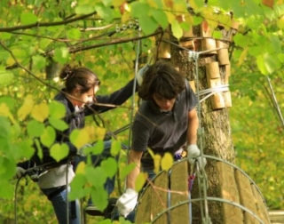  Descubrimiento del recorrido de aventura en los árboles 